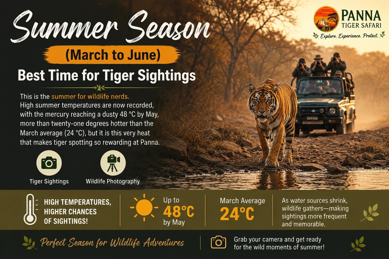 Best-Season-for-Tiger-Safari-in-Panna